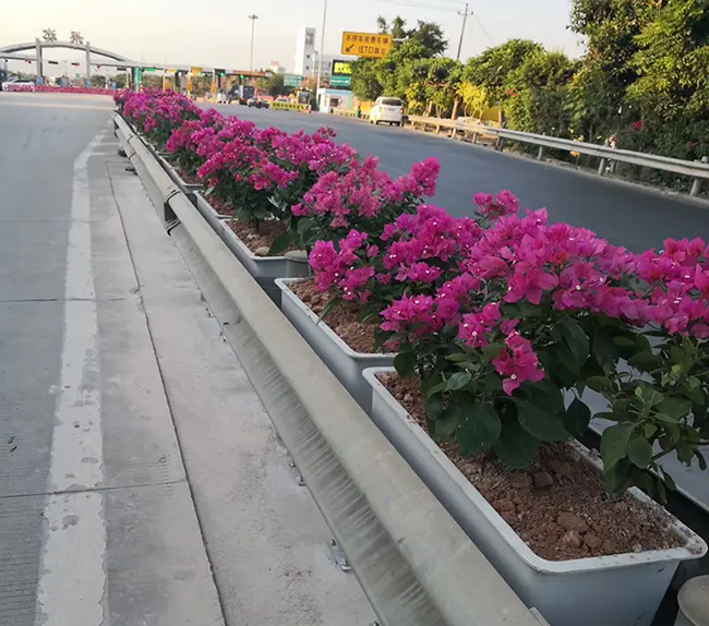 隔離花箱