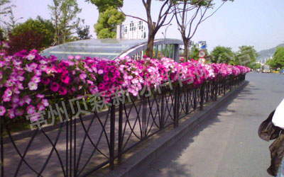 隔離花箱