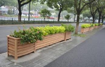 隔離花箱