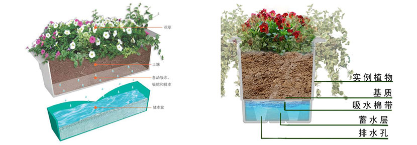花盆解刨圖